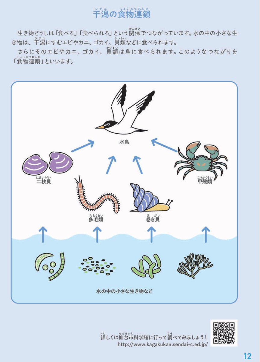 sonoringo555's tweet photo. https://t.co/Ue8Rau963j