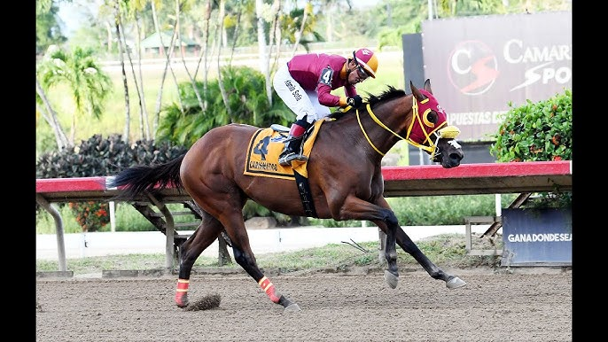 Rafael Vicente Salas tweet media