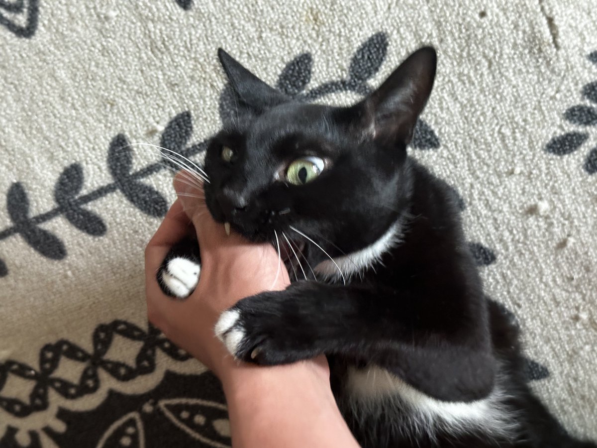 수현 (@hisuhyen) on Twitter photo 