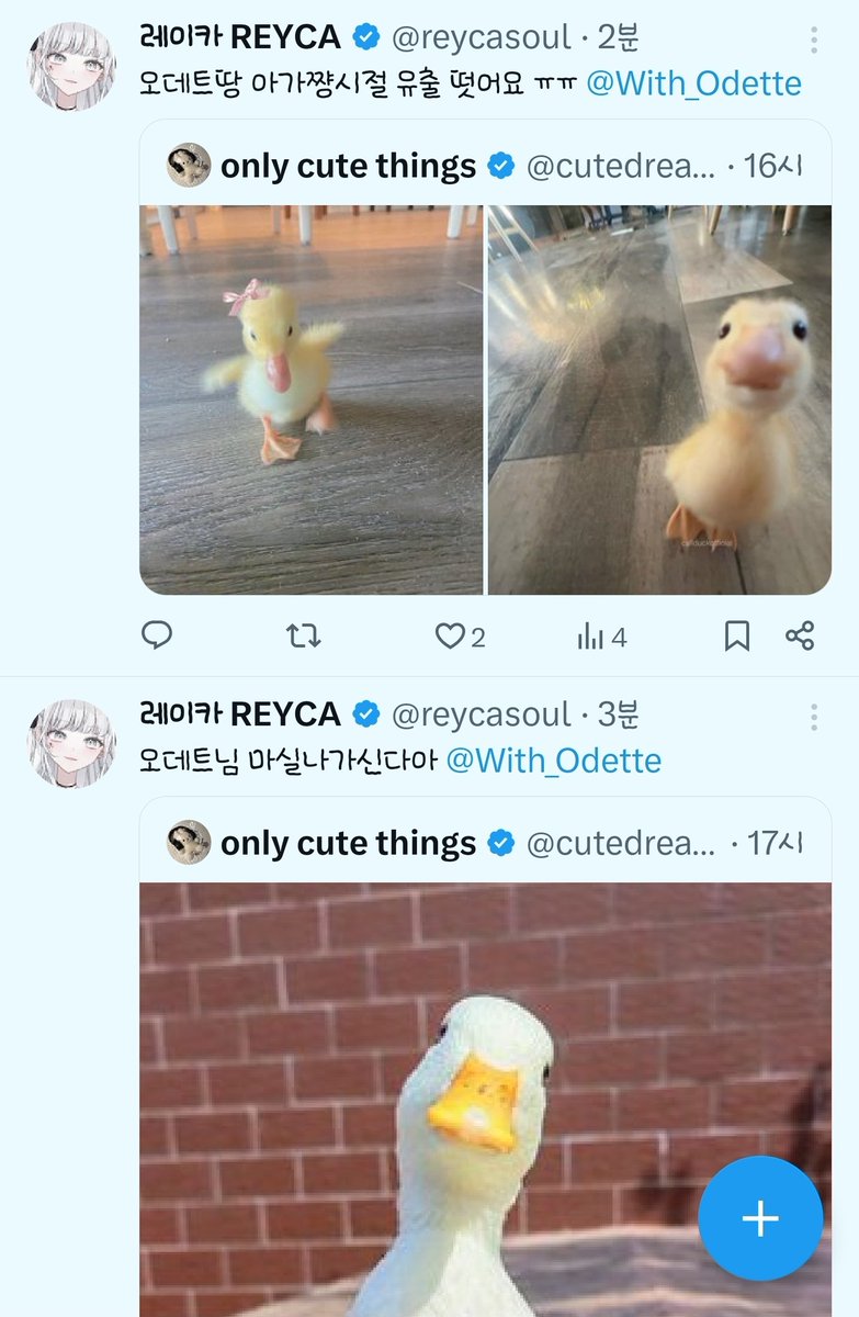 With_Odette's tweet image. 다들 타임라인에서 오리를 발견하면 저를 찾아주시는게 너무 귀엽고 사랑스러워요🥺💛
사랑둥이들을 어떡하면 좋아 ///💐