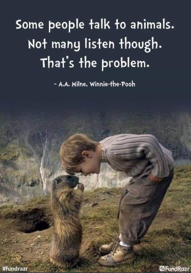 Pay It Forward (@payitfo72555724) on Twitter photo 