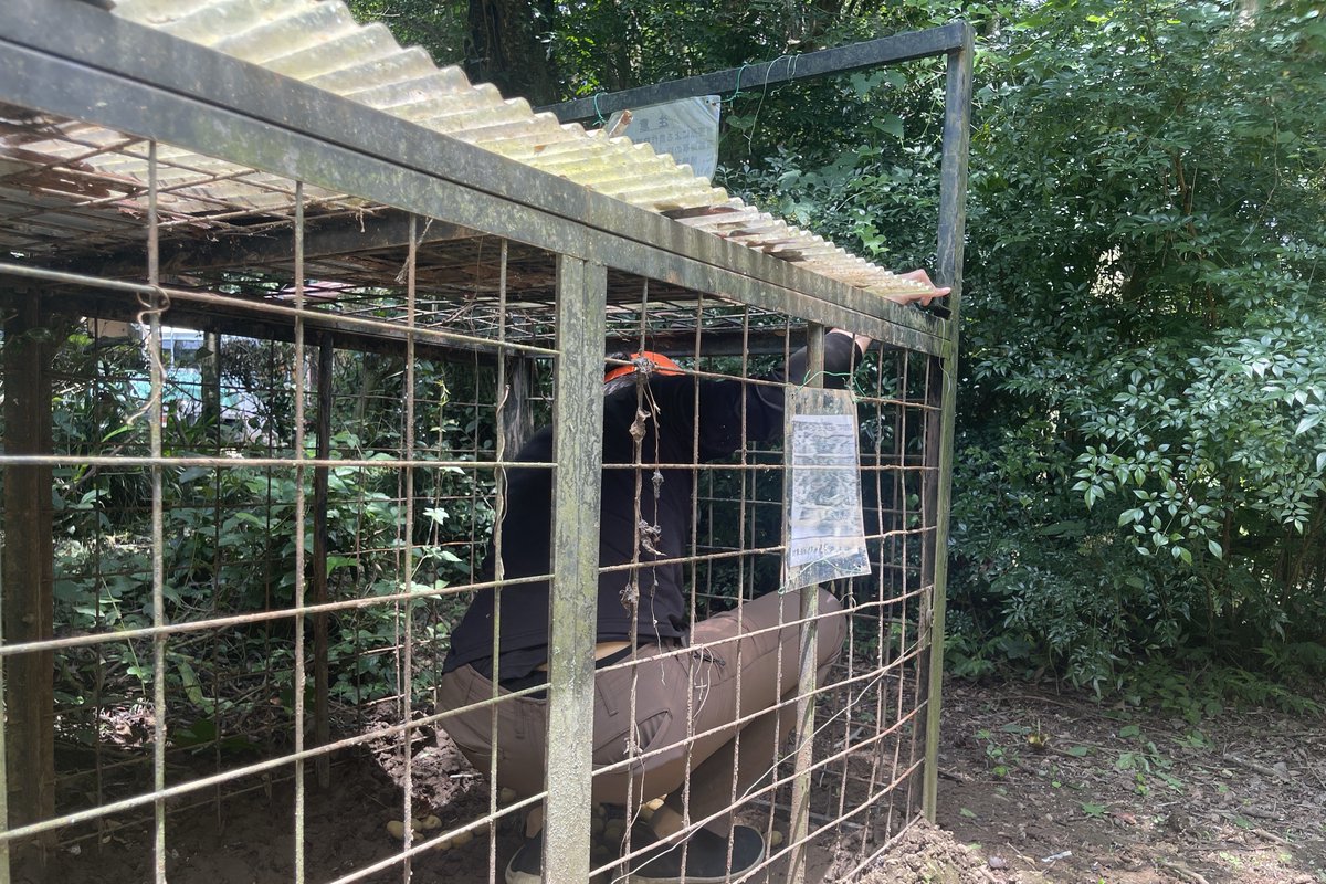 ForestersPRO's tweet image. 動物の気持ちになってわなを内側から点検するのも大事な仕事です！