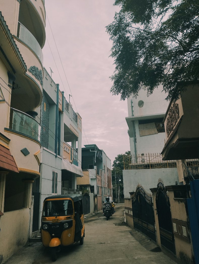 Femin Johny tweet media