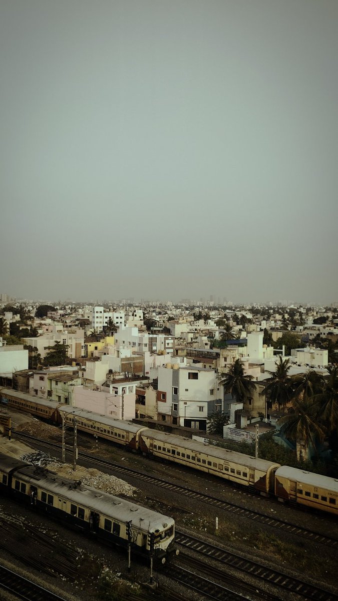 Femin Johny tweet media