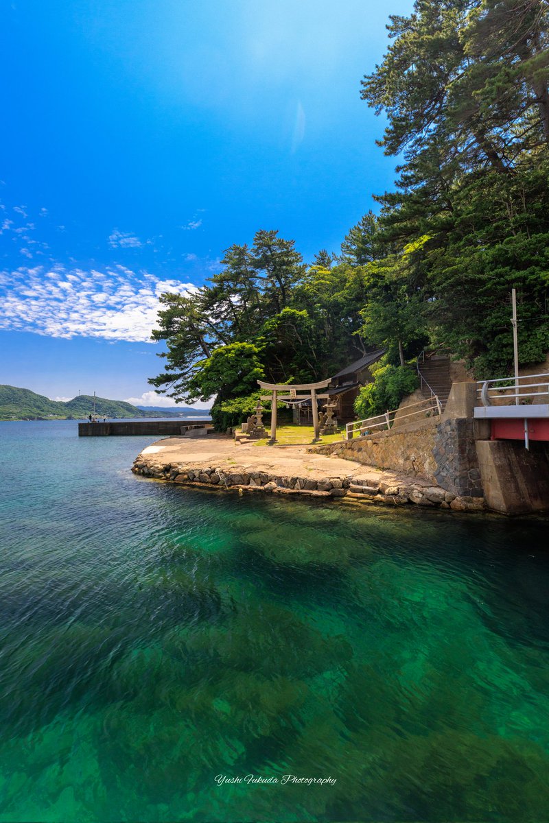 fukuyu0606's tweet image. 夏の海に浮かぶ社☀️🍉🌻🏊
2025.6 三嶋神社・水天宮

#京都よきかな