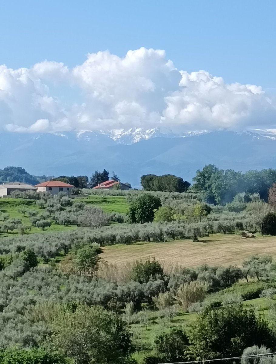 #siRitorna dove il tempo
ha smesso di correre
tra voci che il vento ha nascosto 
ma il cuore ricorda in silenzio.
#unTemaAlGiorno 

Foto mia, sullo sfondo La Maiella