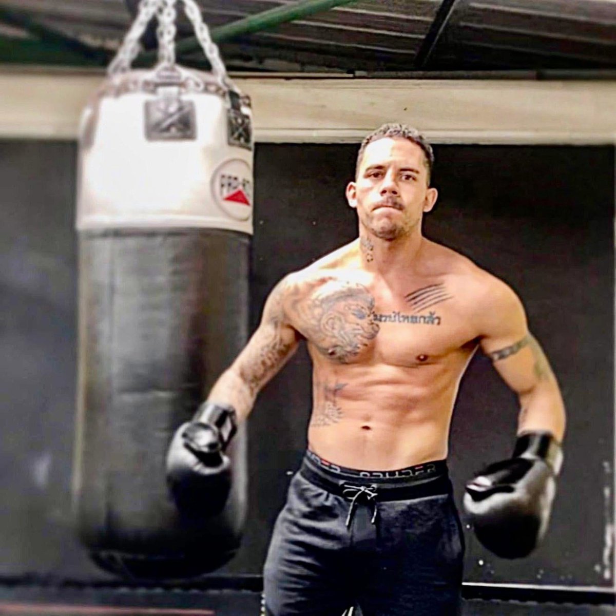 warrior_male's tweet image. To fight is to live.
To live is to fight.

Warrior_Male