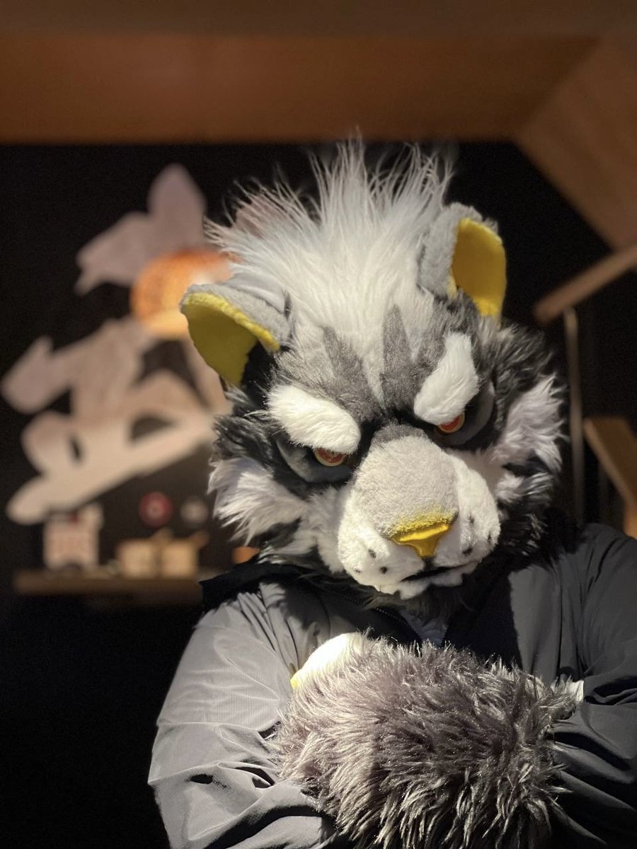 #FursuitEverday 
📸:<a href="/LouiseWOLF_/">LouiseWOLF🐕‍🦺 🔜PAWcon</a>