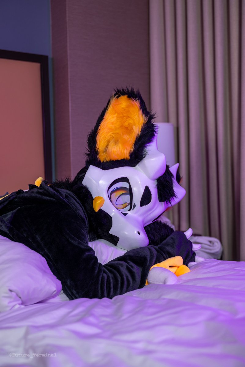 QDHfur's tweet image. 晚安💤
📸：@Future_Terminal