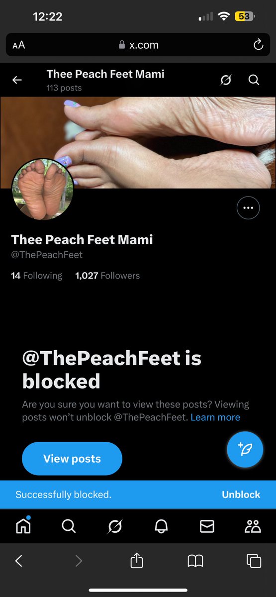 YV tweet media