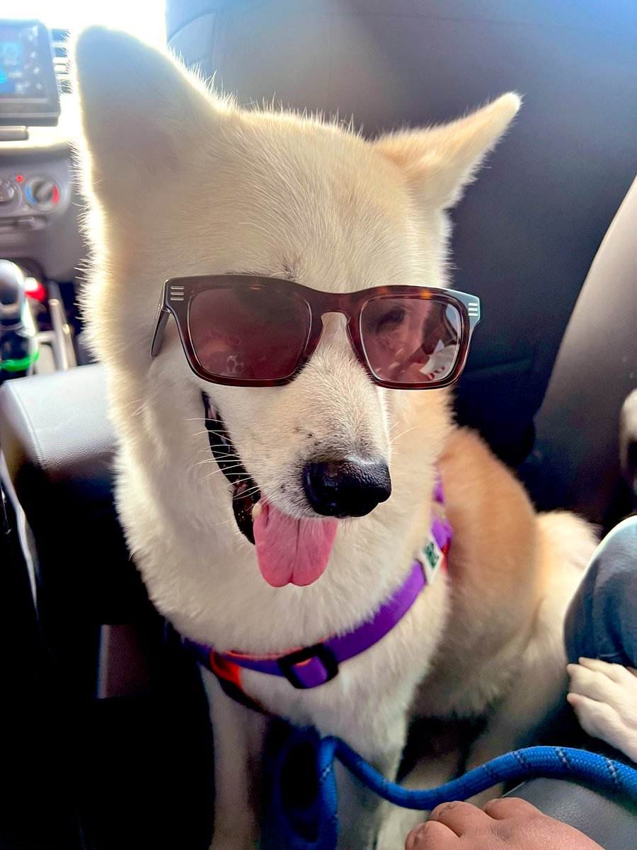 Is there anyone more handsome than my Perry boi. 🥰