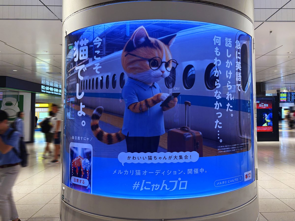 メルカリ のCM出演をかけたオーディション『にゃんバサダー