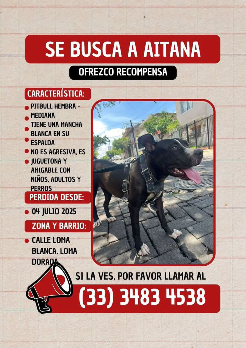 Jesus_Bernal's tweet image. Un colega necesita de todos.
Ayúdame a compartir y difundir.
🙌🏻🙌🏻🙌🏻