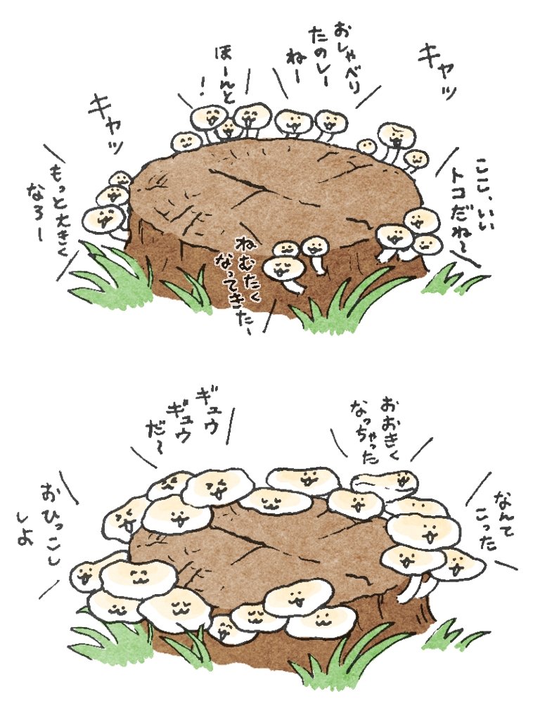 なんだか楽しそう🍄‍🟫
