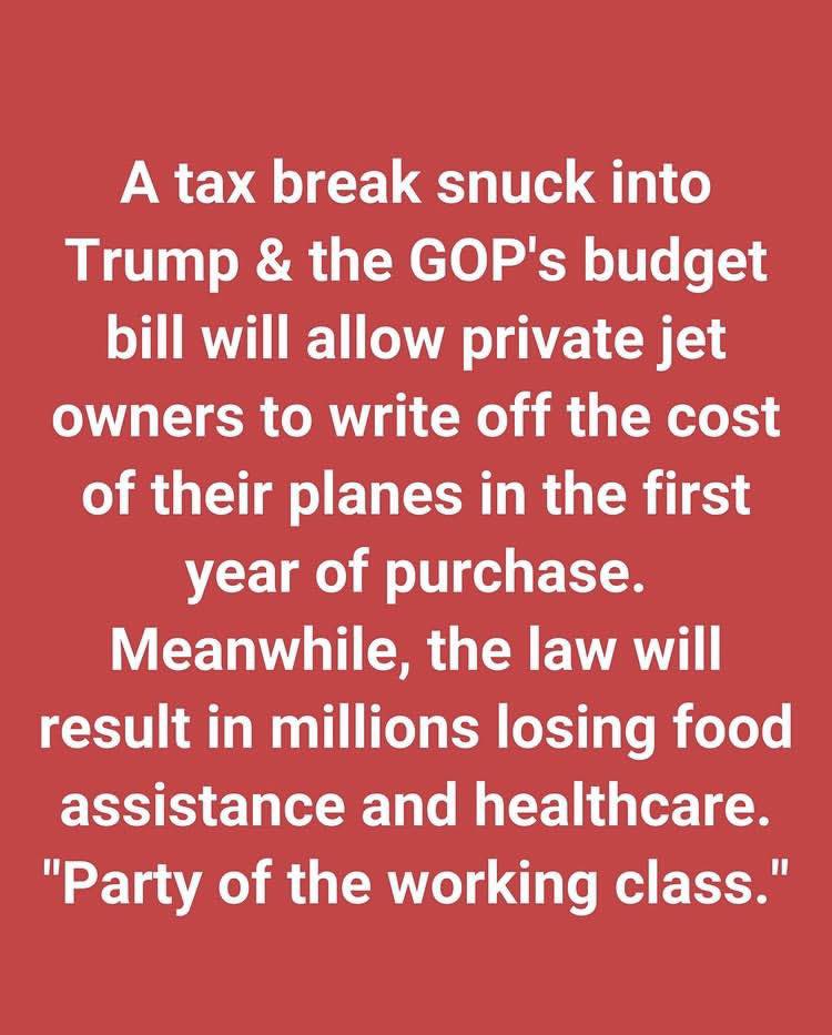 💙 Patricia Newman 💙 (dog lover) 💙 (@pnewman51) on Twitter photo 