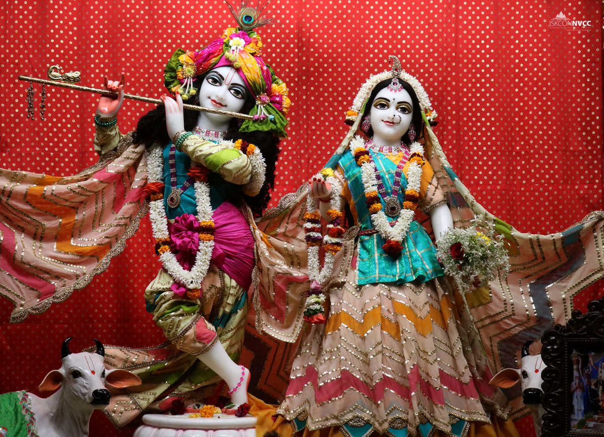 ISKCONPune's tweet photo. 🌷Mangal Arati Darshan🌷🗓08/07/2025🙏 🚩@ISKCONNVCCPune🚩
.
.
#ISKCON #ISKCONNVCC #ISKCONNVCCPune #ISKCONPune
#8thjuly #8thjuly2025 #Tuesday #Vrindavan
#Harinaamsankirtan #Radheshyamdas #Radheradhe
#Sankirtan #Kirtan #Mayapur #Prabhupada #iskconmandir
#GVE #GovardhanEcoVillage https://t.co/AyNty9aB6l