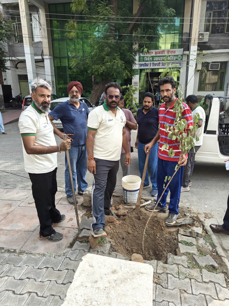 Bindergs's tweet photo. 20 saplings planted in the morgue of Civil Hospital Bathinda
#ਰੁੱਖਾਂ_ਦੇ_ਰਾਖੇ #bathinda 
@PMOIndia @nitin_gadkari @BhagwantMann @DEFCCOfficial https://t.co/8qQV8k82qK