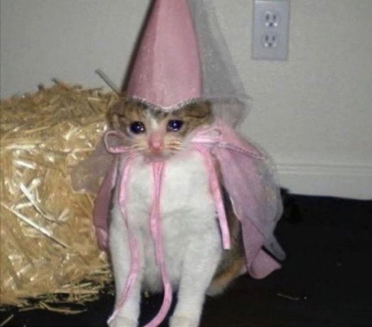 DR_Amaryllis's tweet image. Just made it home from GOML