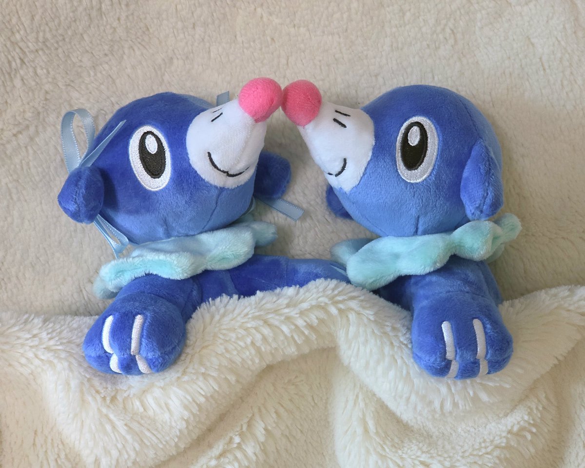 다른 인형 사진 찍다가 포켓몬 인형 만지작 거리면 솜이 적게 들어있다는게 확 느껴져서 신기해
폭신하라고 모양 잡힐 정도로만 넣는건가?