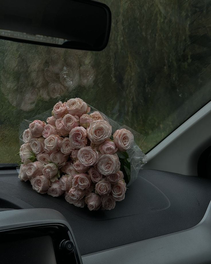 flowers489's tweet photo. https://t.co/ikPb9P0Jj4