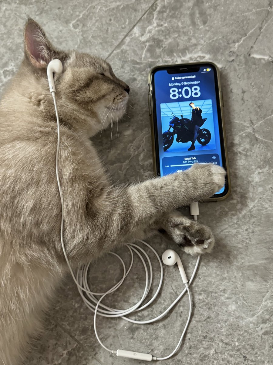 이런 여름엔 시원~하게
s/s꼴렉숀 들어줘야지ㅋㅋ