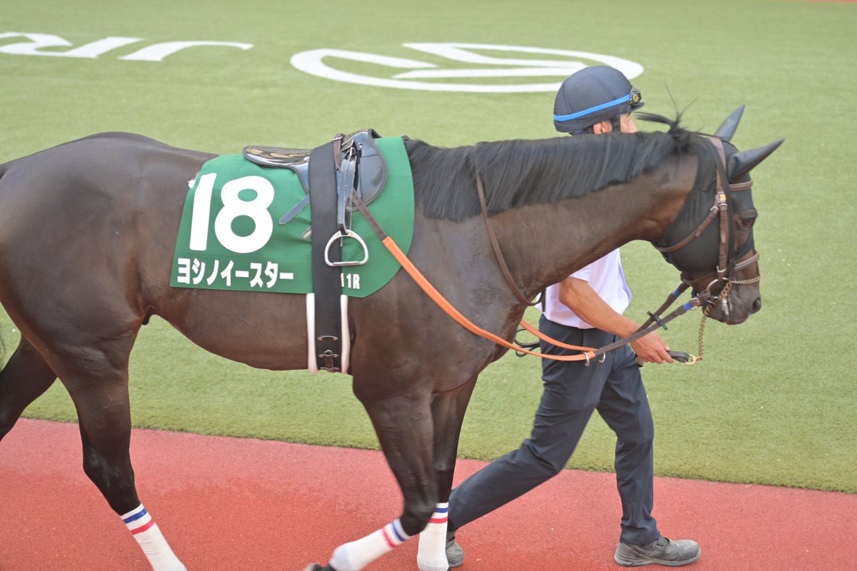 itoaoi_fgmf's tweet image. 北九州記念はね…複勝で少しだけ当たりました✨
芦毛さん可愛い🐴
そして密かに信じてたアブキールベイさん頑張ってくれて嬉しい🐴
ヨシノイースターさんは最大ハンデで頑張りました🐴
ヤマニンアルリフラさんおめでとう🎉
#競馬好きVTuber
#福岡
#新人VTuber