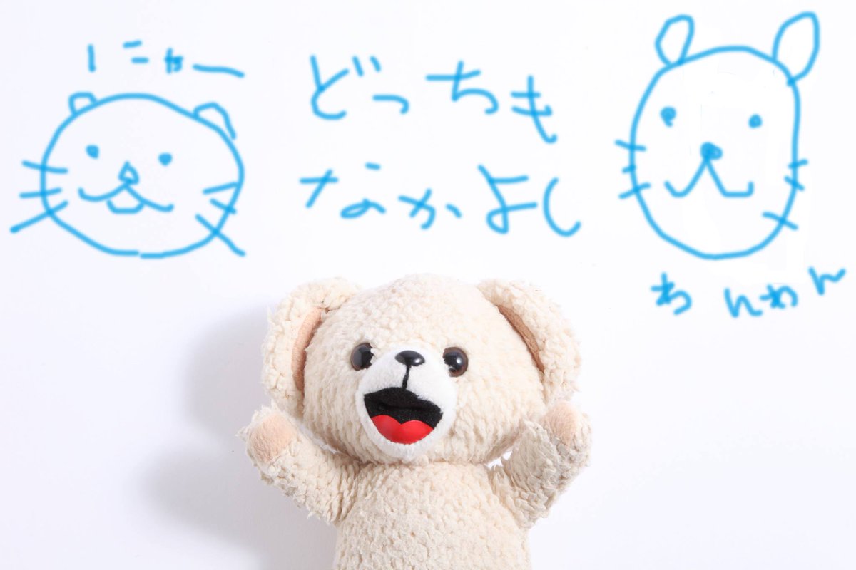 fafa_bear's tweet image. きょうはおうちで、おえかき☆
にゃーとわんわんをかいたよ～♪