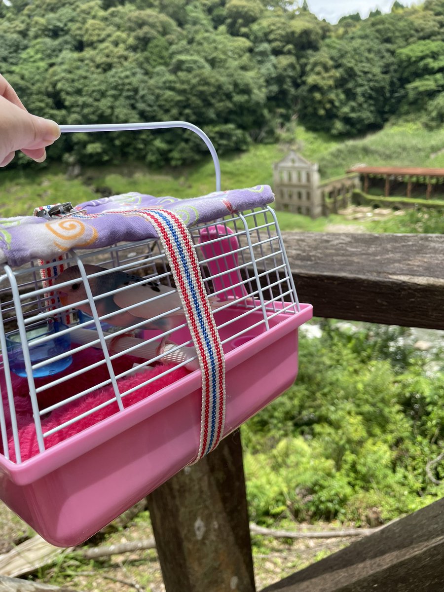 ばばろあ (@babaroa148) / Posts / X