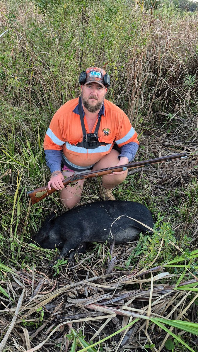 CanePigQLD's tweet photo. Finally, only rubbish but finally got a couple pigs with my black powder ball and cap. I brought this rifle not knowing much about black powder, taught myself with some advice from old timers at the club, and in a matter of a few weeks, competitively shooting and hunting. https://t.co/n0dOag5I0O
