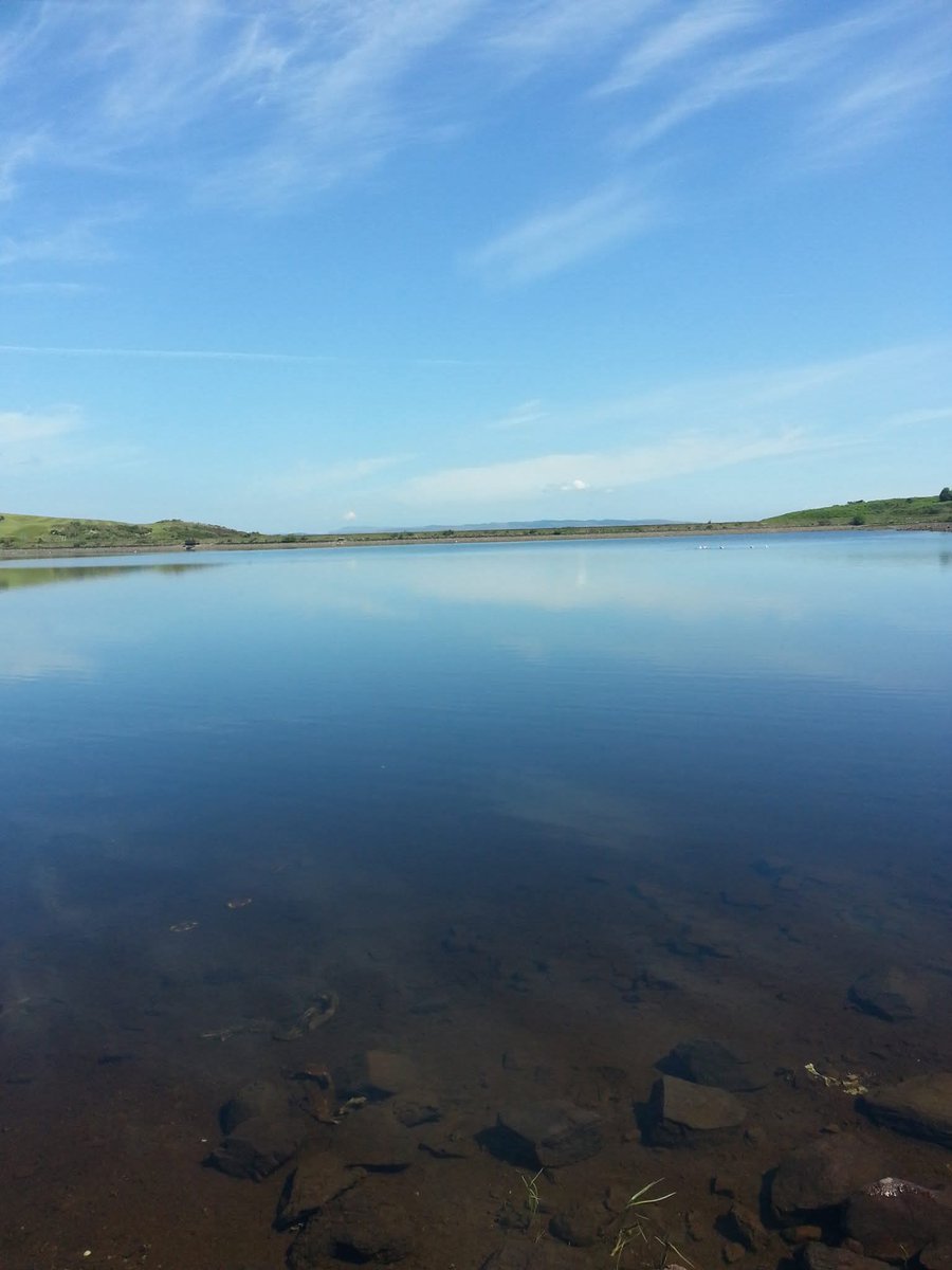 Rhys McCole 🏴󠁧󠁢󠁳󠁣󠁴󠁿 tweet media