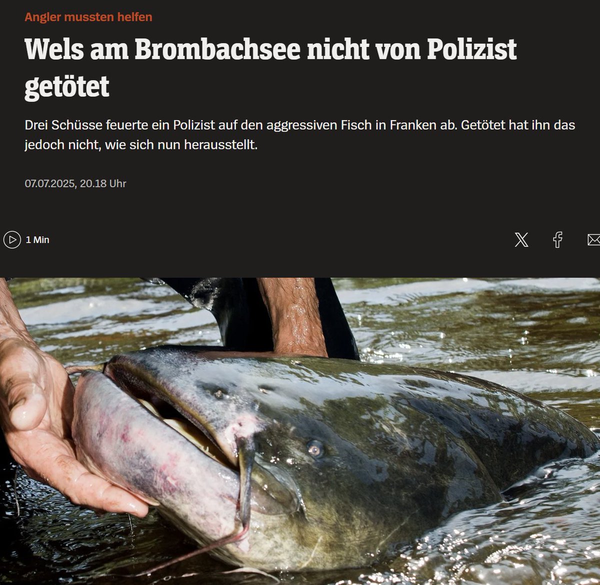 Leider sind die Überwachungskameras am Brombachsee zum Tatzeitpunkt ausgefallen. Man geht inzwischen von einem Suizid aus.