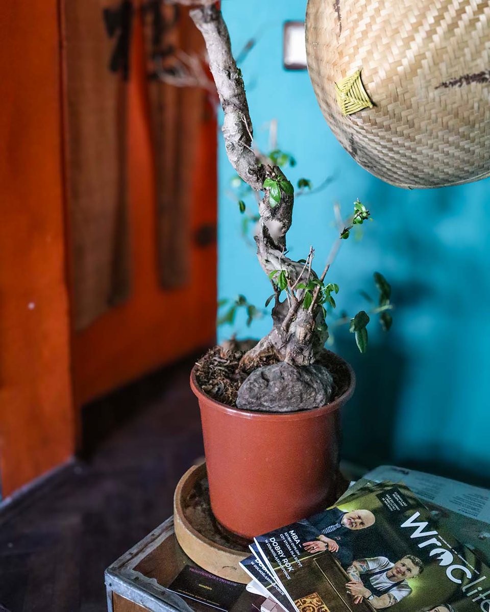 Chwila z herbatą i nowy Wroclife! Najnowszy numer magazynu czerwiec-lipiec znajdziecie w Czajowni na Białoskórniczej 7-9/1. Oderwij się od ekranów i poczytaj inspirujące artykuły przy filiżance herbaty!
#magazynwroclife #herbaciarnia
[wroclife.pl/artykul/6835/m…]