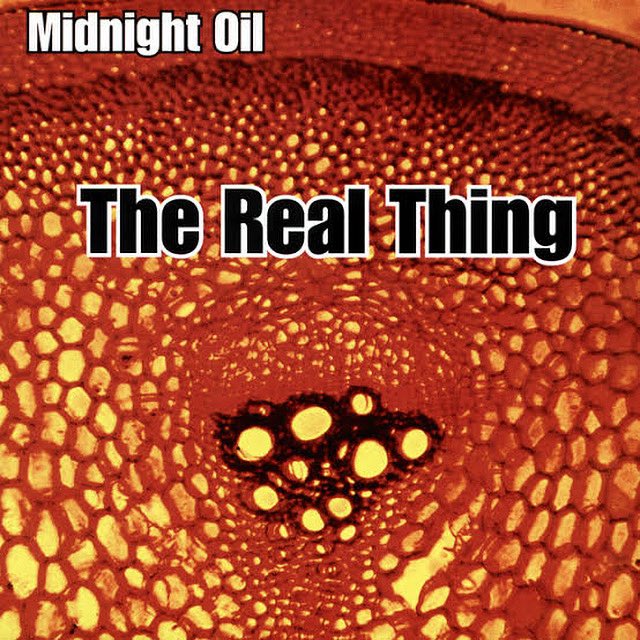 GCS_Pottsy's tweet image. Today in music: Short Memory by Midnight Oil from the 2000 live album The Real Thing. Released 25 years ago today it was the band’s 12th album and second live release. #Music #Shortmemory #MidnightOil #TheRealThing #rock #rocknroll #livemusic #2000s #2000smusic #PeterGarrett