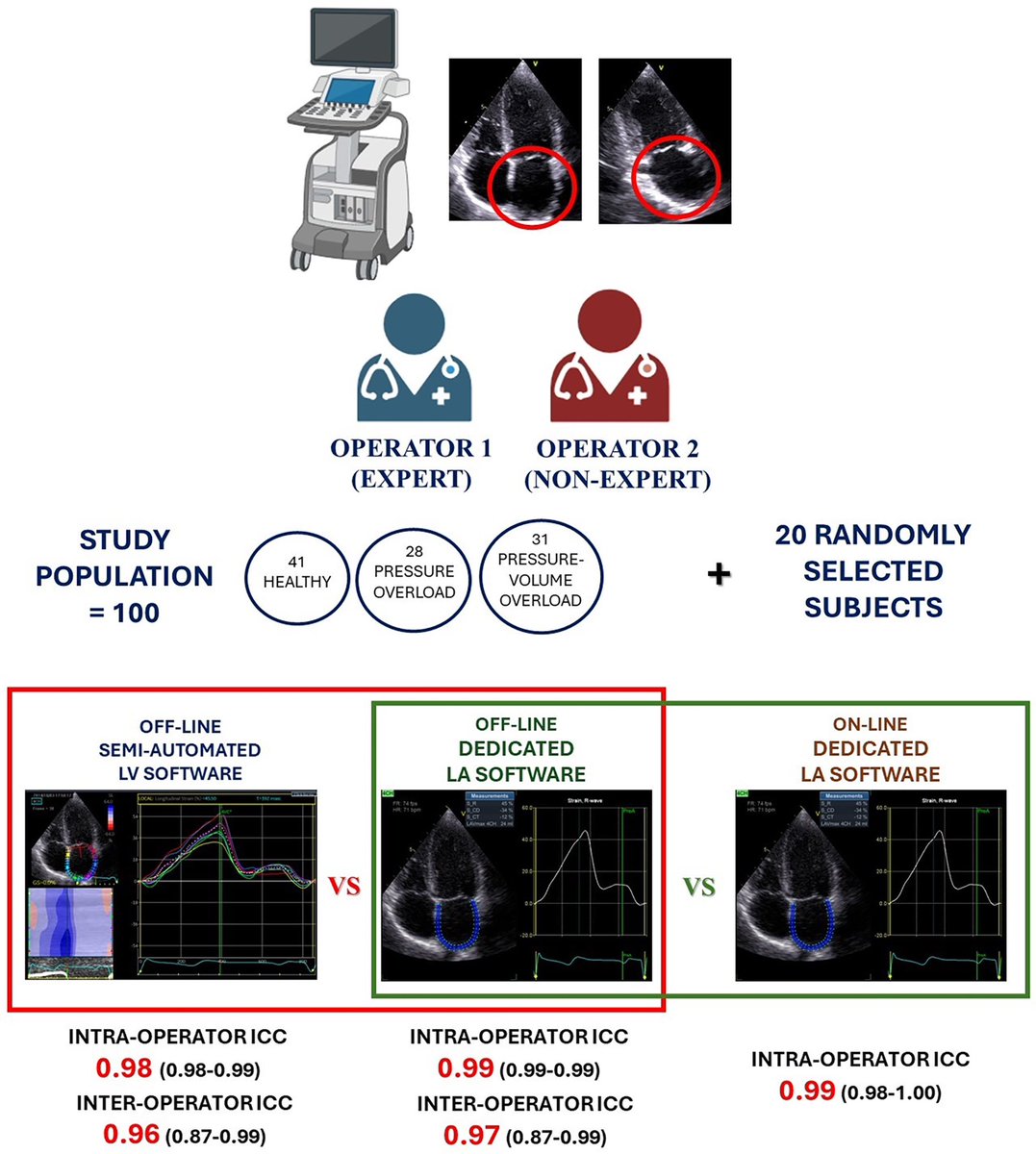 EHJ-IMP Editor-in-Chief (@ehjimpeic) on Twitter photo 🚨 New study alert!
Fully automated software for Left Atrial Strain (LAS) shows excellent reproducibility and time efficiency 🕒A game-changer for routine clinical practice!
📖 Mandoli et al.🔗 doi.org/10.1093/ehjimp…
#CardioTwitter #EchoResearch #LAS #SpeckleTracking #MedTech 🚨 New study alert!
Fully automated software for Left Atrial Strain (LAS) shows excellent reproducibility and time efficiency 🕒A game-changer for routine clinical practice!
📖 Mandoli et al.🔗 doi.org/10.1093/ehjimp…
#CardioTwitter #EchoResearch #LAS #SpeckleTracking #MedTech