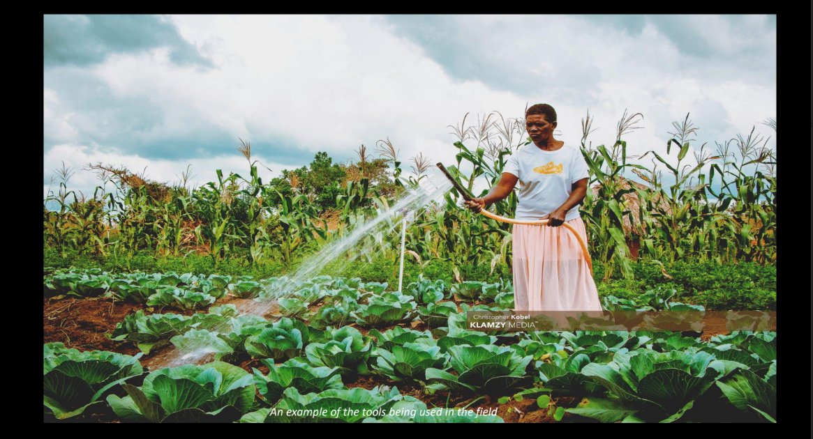 infoNILE's tweet image. &quot;These photos are crucial for establishing the connection between farmers and the viewers/readers with an intimate look at the hard work and dedication required to begin the growth cycle.&quot; - Chris Kobel

📸Chris Kobel
#CSA #Solutionjournalism