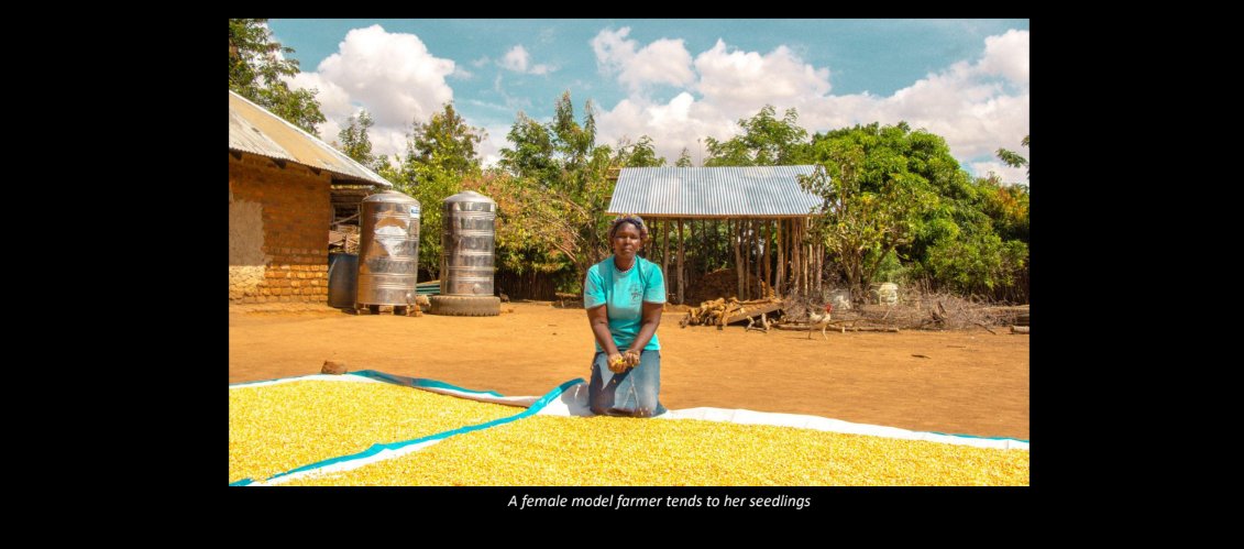 infoNILE's tweet image. &quot;These photos are crucial for establishing the connection between farmers and the viewers/readers with an intimate look at the hard work and dedication required to begin the growth cycle.&quot; - Chris Kobel

📸Chris Kobel
#CSA #Solutionjournalism