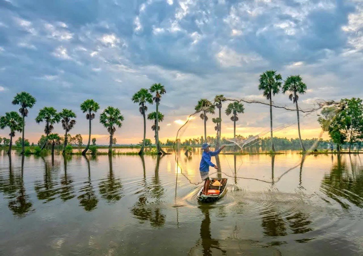 Ngan Nguyen | Bee tweet media