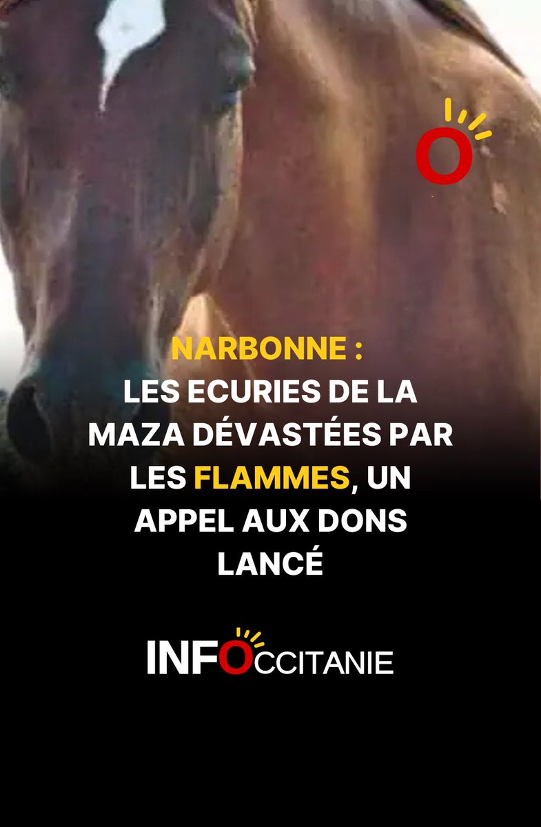 #Narbonne : les Ecuries de la Maza dévastées par les flammes, un appel aux dons lancé ▶️ infoccitanie.fr/narbonne-les-e…