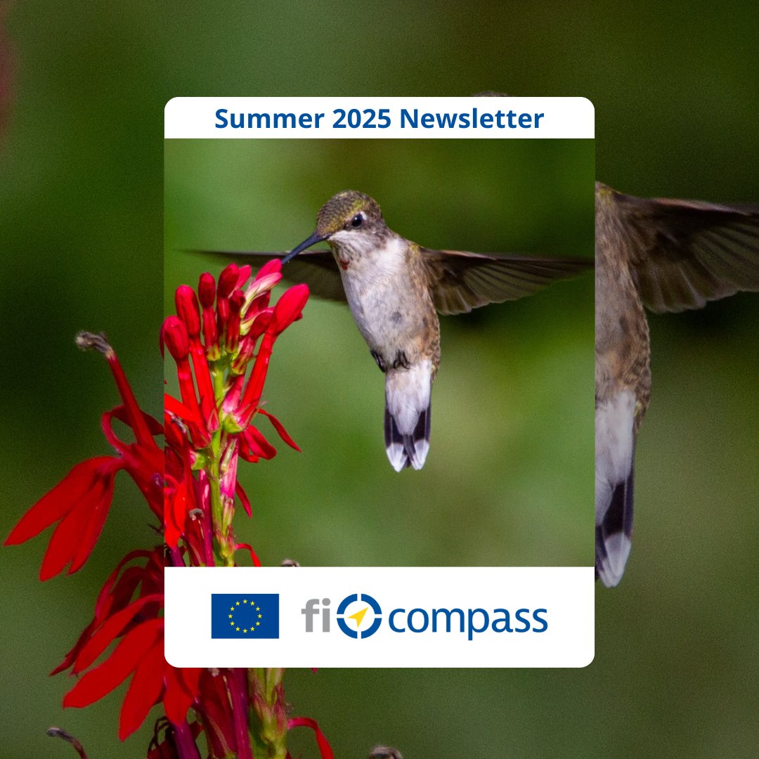 🌞It’s here! The summer edition of the #ficompass newsletter is out now.

It brings you interactive content on #financialinstruments with publications, podcasts, videos and events.

Get started here ➡️ bit.ly/ficompassSumme…
#EIBAdvisory