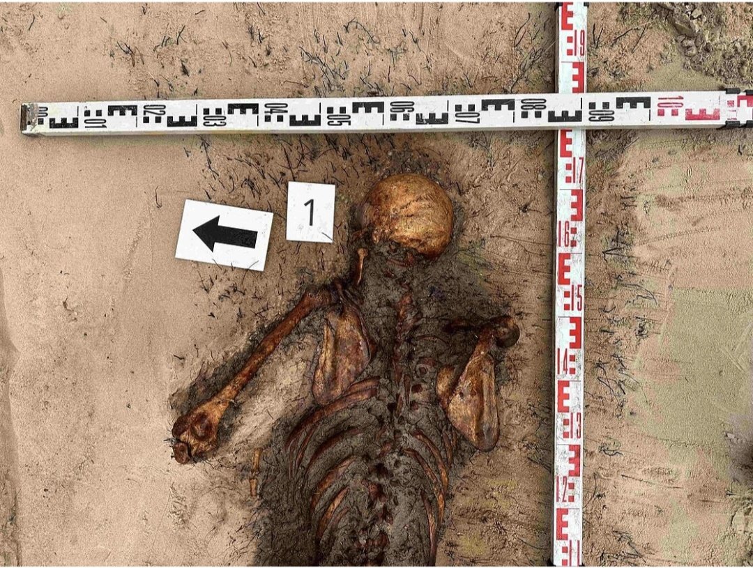 6 Lithuanian freedom fighters remains found in Rokiškis district. From what unit, or who they are is unknown at this time. At least now these heroes can have a proper funeral 🇱🇹