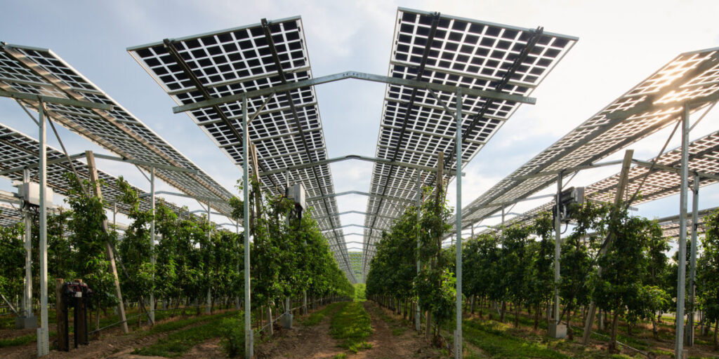 Fraunhofer ISE: Deutschland hat Potenzial für 500 Gigawatt Agri-Photovoltaik: Die Freiburger Forscher haben für ihre Analyse erstmals alle Arten von landwirtschaftlichen Flächen betrachtet. Mit einer… dlvr.it/TLntJK #Photovoltaik #ErneuerbareEnergien #Solarenergie
