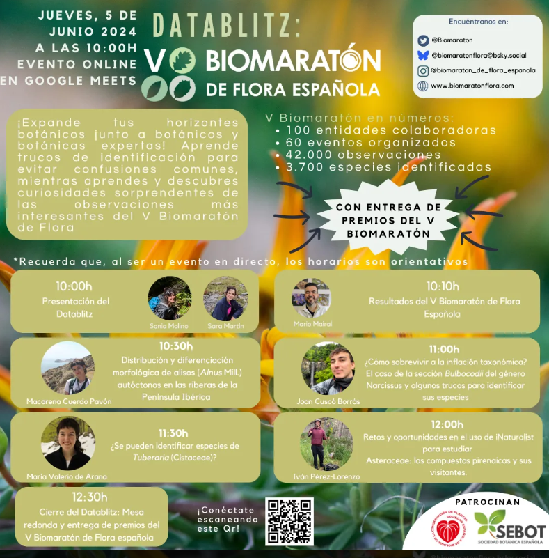 🌿 Ya puedes ver el Datablitz del V Biomaratón de Flora Española

Charlas monográficas con trucos de identificación, confusiones frecuentes, curiosidades y observaciones de interés de varios grupos de plantas ibéricas.

📺 biomaratonflora.com/datablitz-2/
