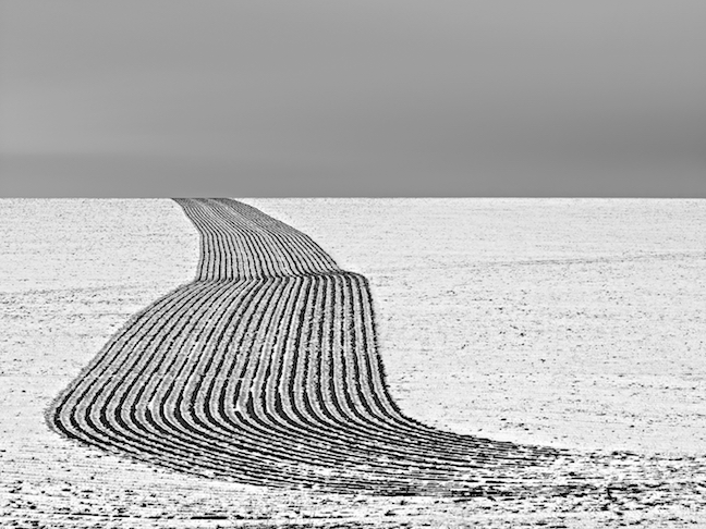 twistopherrobin's tweet photo. #Photography #Monochrome #JeffCorwin https://t.co/KTus989HL6