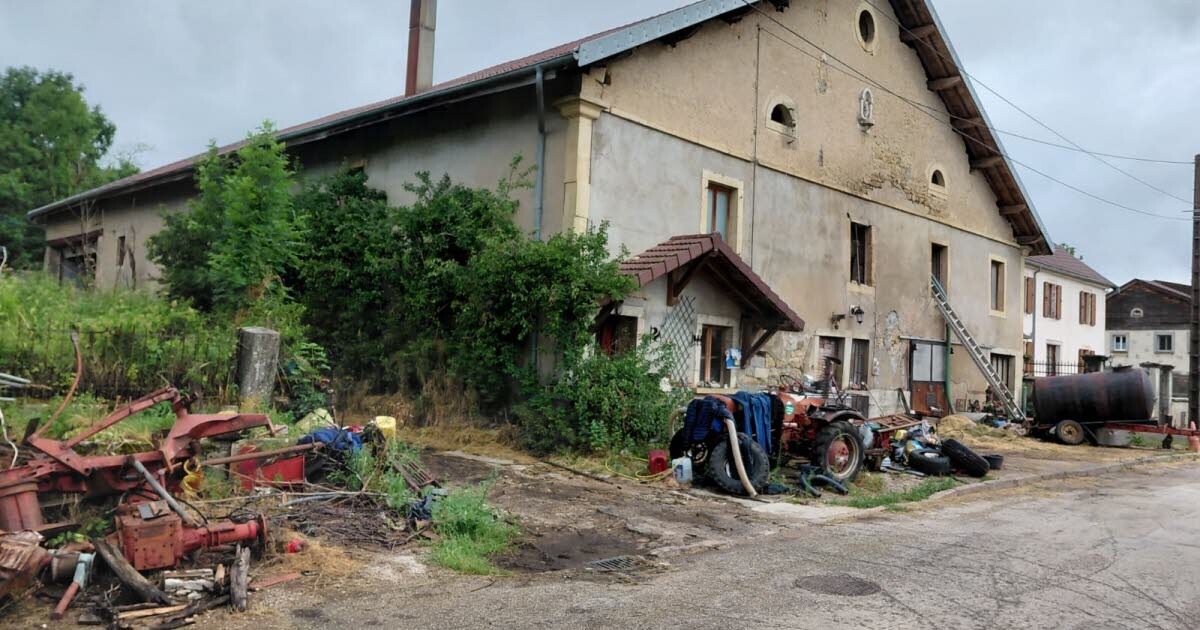 Vuillecin. Un agriculteur chargé par un taureau durant un contrôle vétérinaire
➡️ l.estrepublicain.fr/LiQ