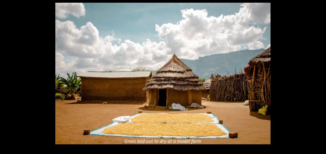 infoNILE's tweet image. &quot;These photos are crucial for establishing the connection between farmers and the viewers/readers with an intimate look at the hard work and dedication required to begin the growth cycle.&quot; - Chris Kobel

📸Chris Kobel
#CSA #Solutionjournalism
