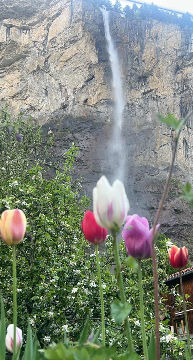 وادي لوتربرونن في سويسرا 
 أحد الوديان الأكثر جمالا واثارة في جبال الألب وتحيط به قمم الجبال الشاهقة مما يجعله مصب لأكثر من 72 شلال ومن أشهر هذه الشلالات شلال ستوباخ وشلال تروميل باخ
والوادي يبعد عن انترلاكن 12 كيلو فقط
تصويري مايو 2022
احداثية
n 46 35.911
e 007 54.445