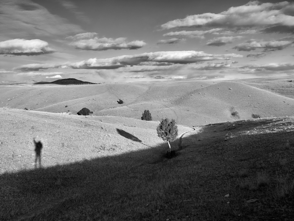 twistopherrobin's tweet photo. #Photography #Monochrome #JeffCorwin https://t.co/hG6GuNPrHl
