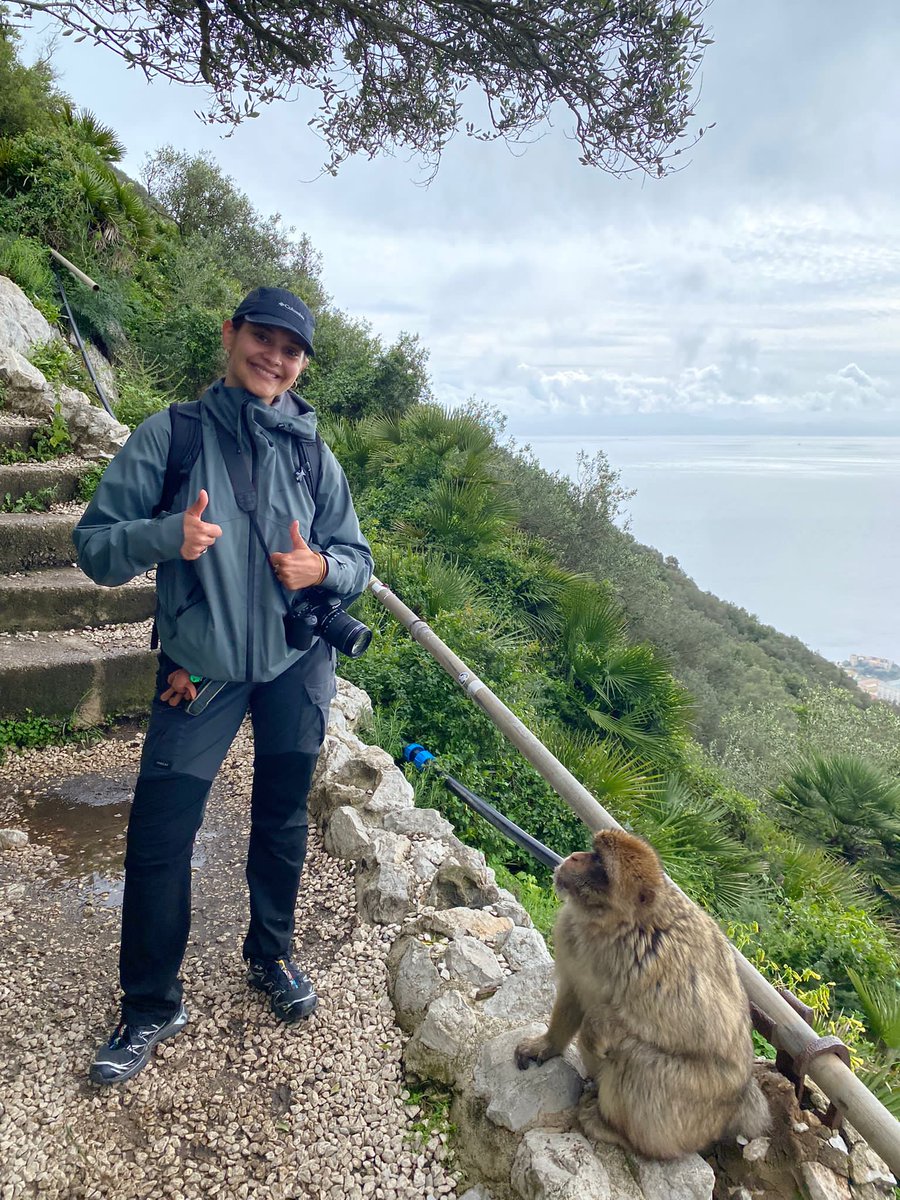 And congratulations to Jeanne Thiodet for successfully completing her Master's degree in Ethology (Uni Sorbonne), also with a First! Project with the GMP evaluating the impact of the anthropogenic gradient on behaviour of Barbary macaques. <a href="/CamBioanth/">CambridgeBioAnth</a>