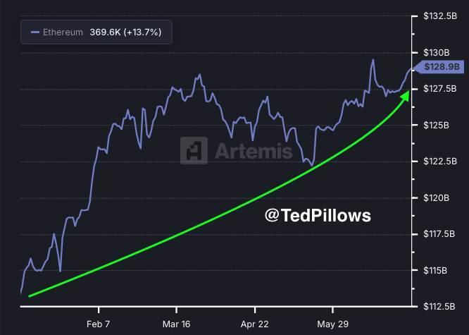 Ted tweet media