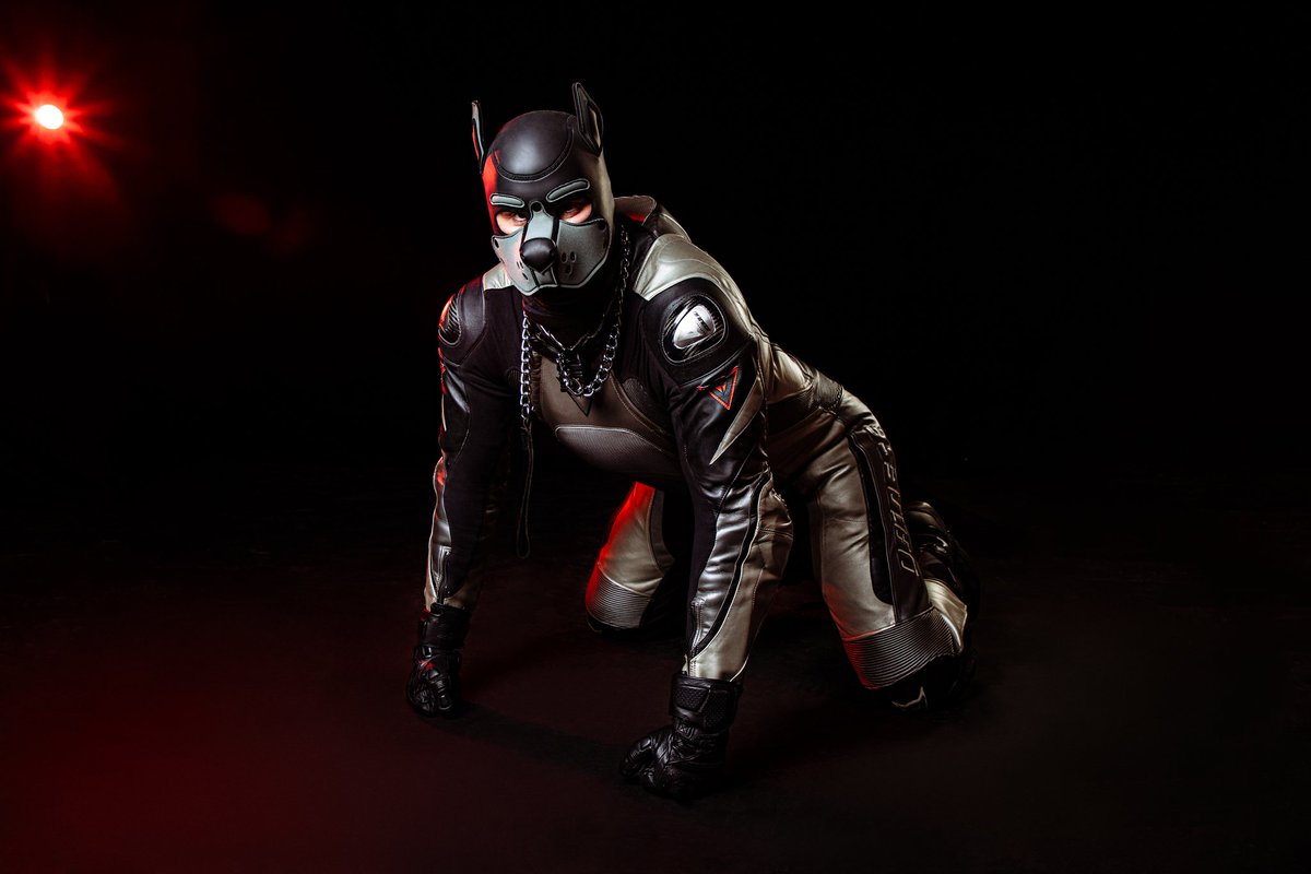 Yes you may pet, but be careful, Wolf has been known to bite 🐺😈

🩶 Me
📸 Paton Yates Photography